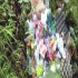 Waste management remains a growing concern in Geyzing