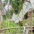 Rain wreaks havoc in Pakyong district 