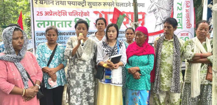 Longview Tea Estate workers announce 72-hour hunger strike 