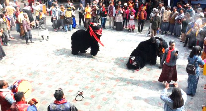 Losoong Festival