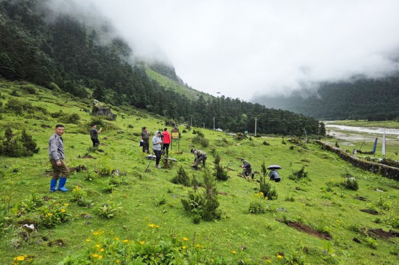Sikkim caps two-week Paryavaran Parva with high-altitude plantation drive at Yumthang