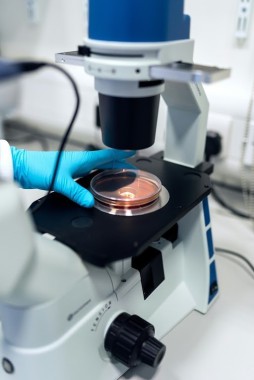 Protirelin: Reframing a Classical Peptide in Contemporary Research