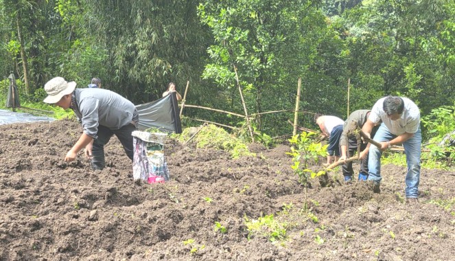 Passingdang BAC advances ‘Connect to Earth’ vision with plantation of over 500 GI-tagged Dalle Khorsani seedlings