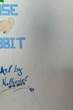 Cracks observed in school buildings following earthquake