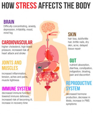 Stress And Your Health The Negative Impacts Of Stress [Infographic]