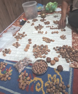 Chinese merchants join Indian traders in Eastern Nepal’s Rudraksha boom 