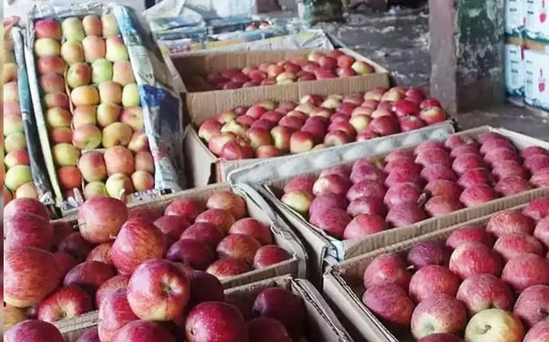J&K govt to crack down on artificial colouring of apples