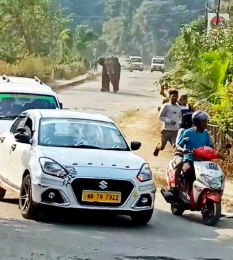 Elephant strays into residential areas, sparks panic - Sikkimexpress