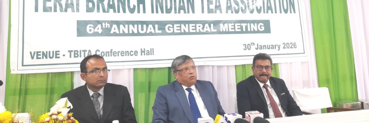 Climate change, Nepal tea imports hit Darjeeling tea industry