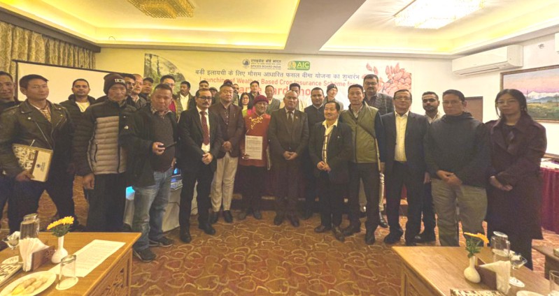 700 farmers to get weather-based crop insurance for large cardamom in Sikkim